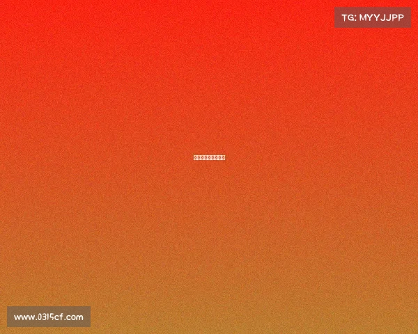 世界杯赛事比分查询